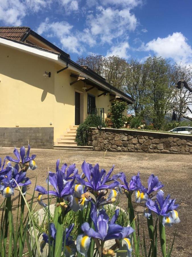 B & B Casal Pereto Valmontone Exteriör bild