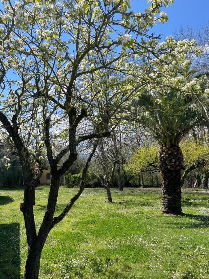 B & B Casal Pereto Valmontone Exteriör bild